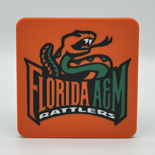 FAMU Coaster Set